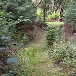 Idyllische An Der Nordsee- Alte Schule Suellwarden Feriehus Butjadingen