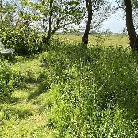 Idyllische An Der Nordsee- Alte Schule Suellwarden Prázdninový dům