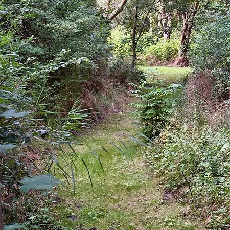 Idyllische An Der Nordsee- Alte Schule Suellwarden Prázdninový dům Butjadingen