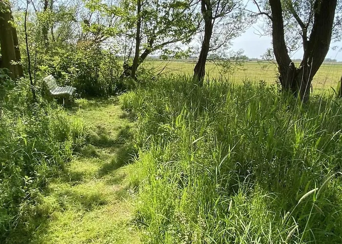 Idyllische An Der Nordsee- Alte Schule Suellwarden Tatil Evi