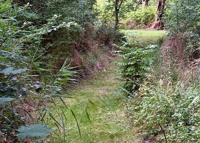 Idyllische An Der Nordsee- Alte Schule Suellwarden Tatil Evi Butjadingen